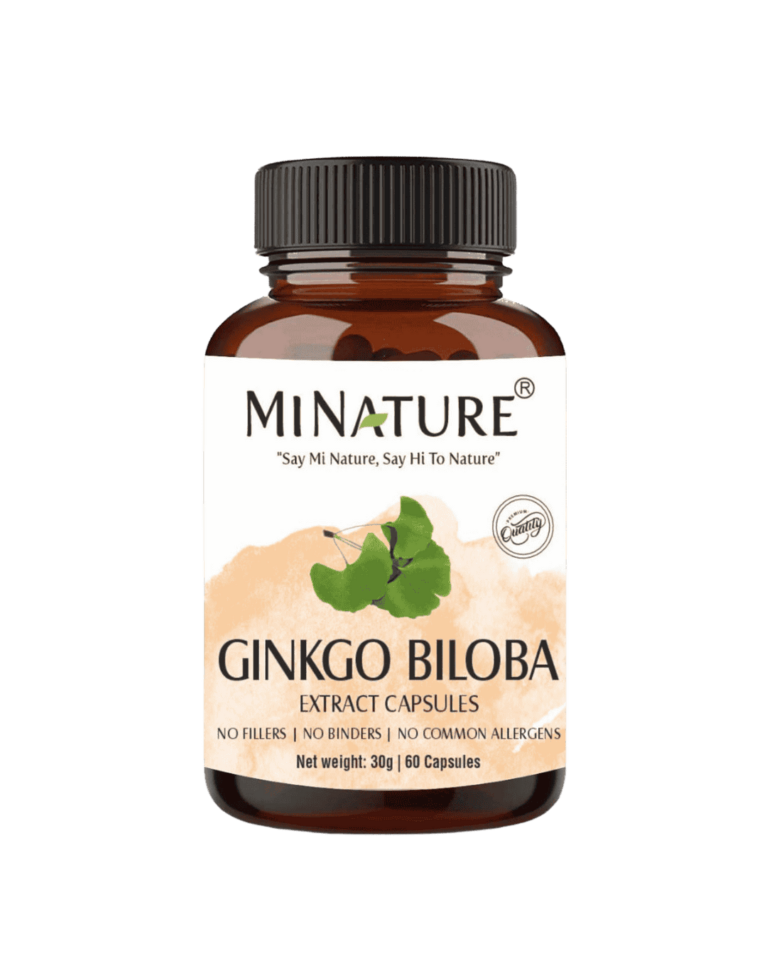 Ginkgo Biloba Extract Capsules, Minature, Ayurveda Store NZ