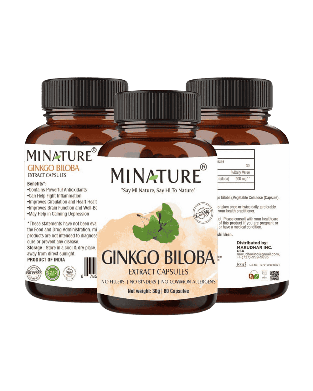 Ginkgo Biloba Extract Capsules, Minature, Ayurveda Store NZ