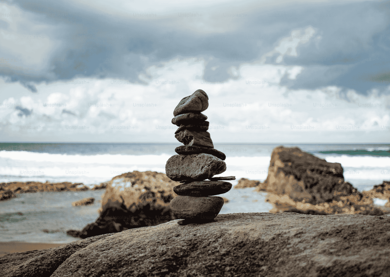 Embark on a Playful Journey of Self-Discovery with Your Dosha’s Insights