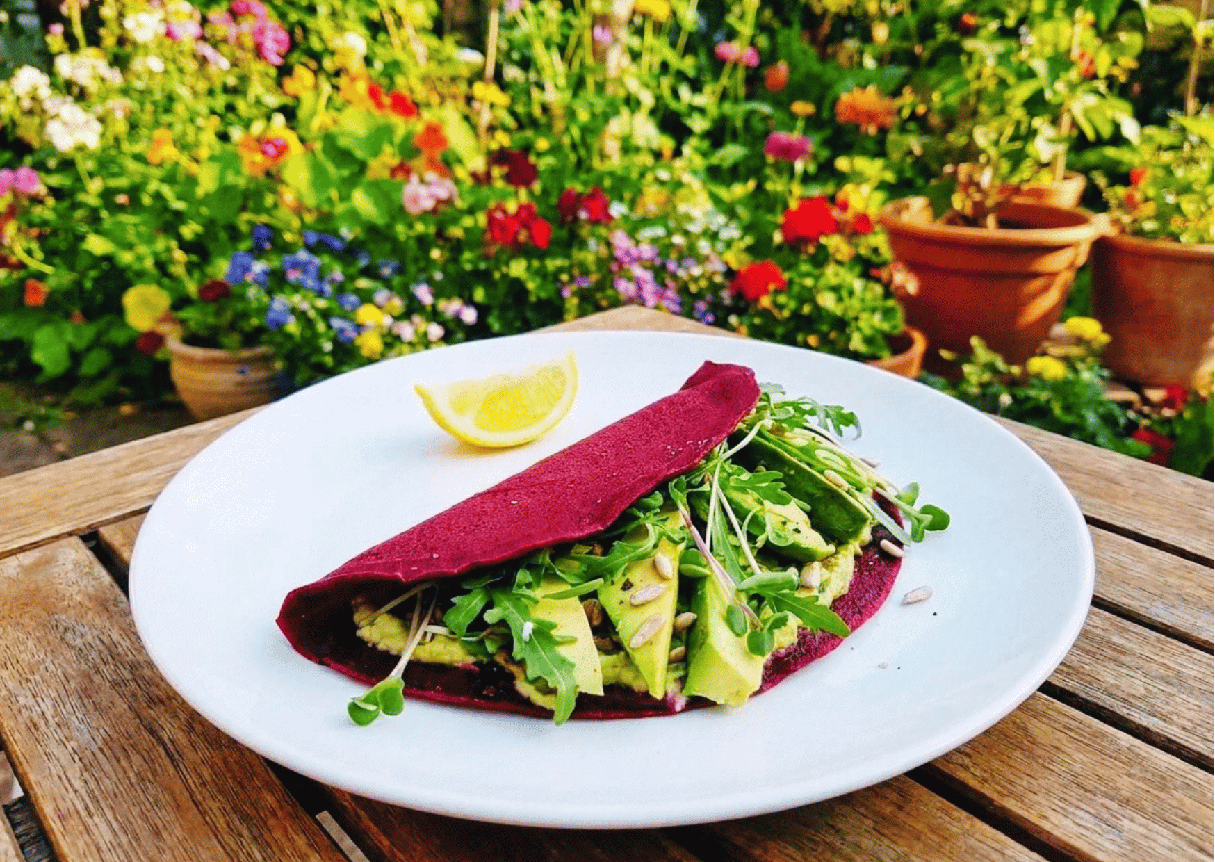 Buckwheat Beetroot Wraps: Vibrant Roots You Can Carry