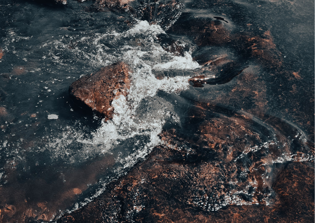 Kapha - The Calm Stabiliser