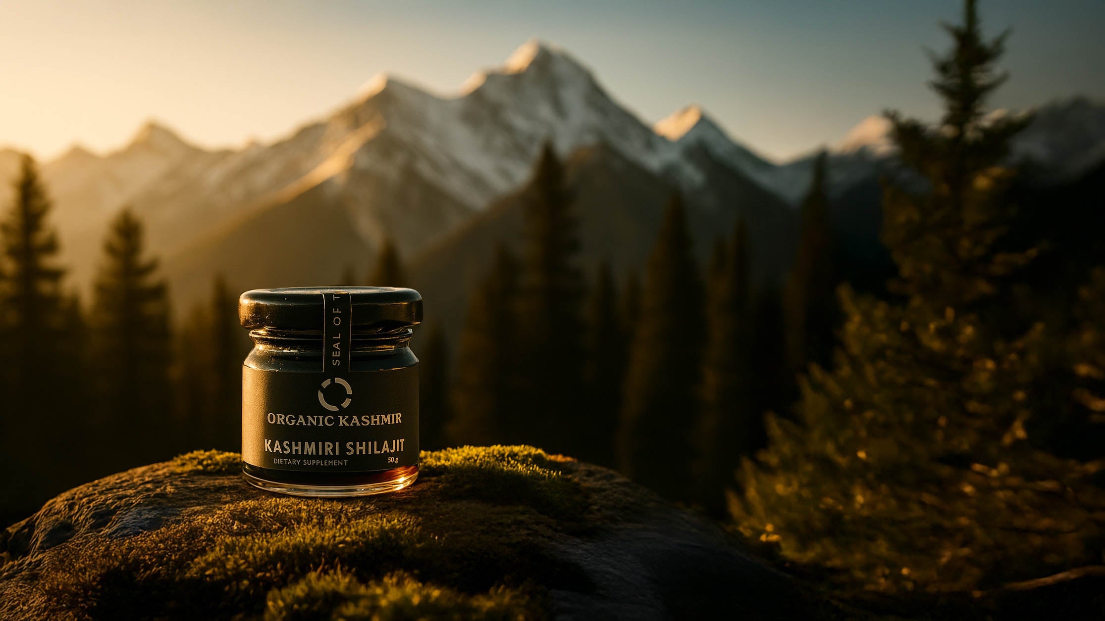 shilajit in the mountain