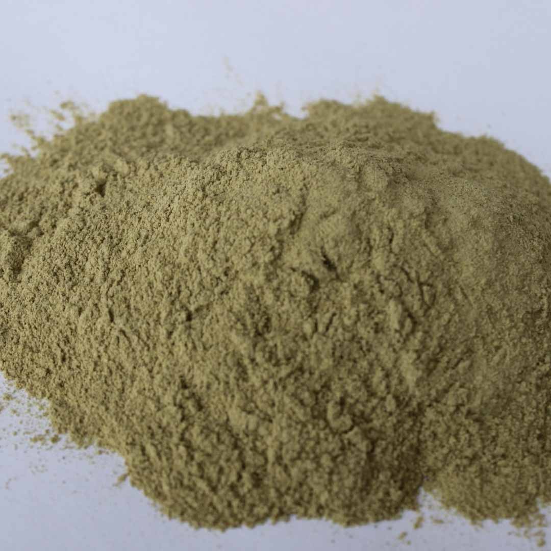 Organic Aloe Vera Powder 227g - USDA Certified