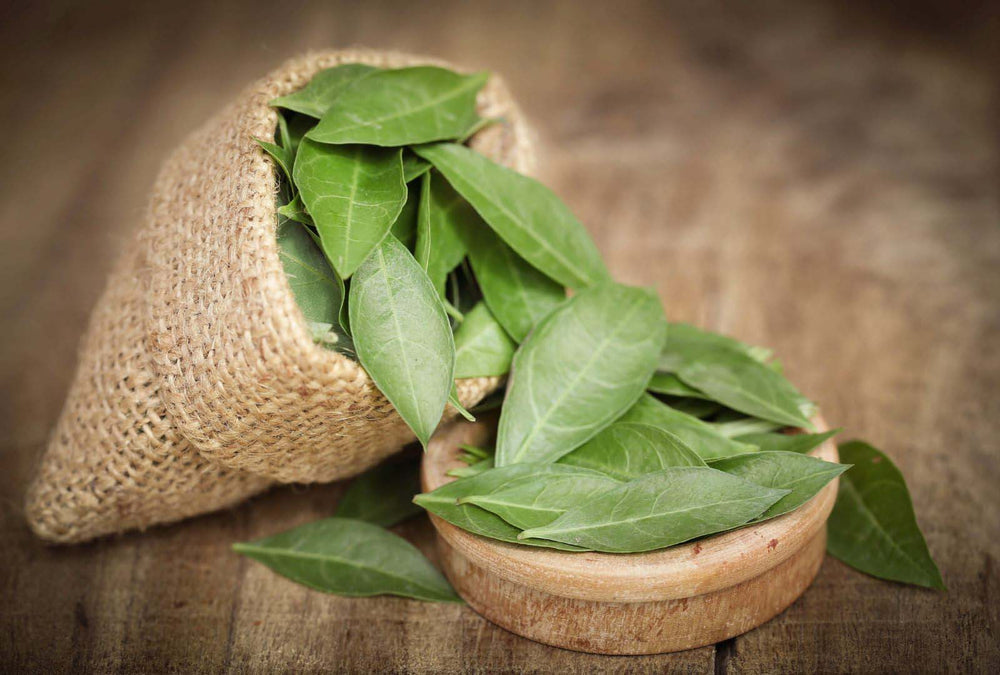 Henna, Indigo, Organic, Hair Color, Minature