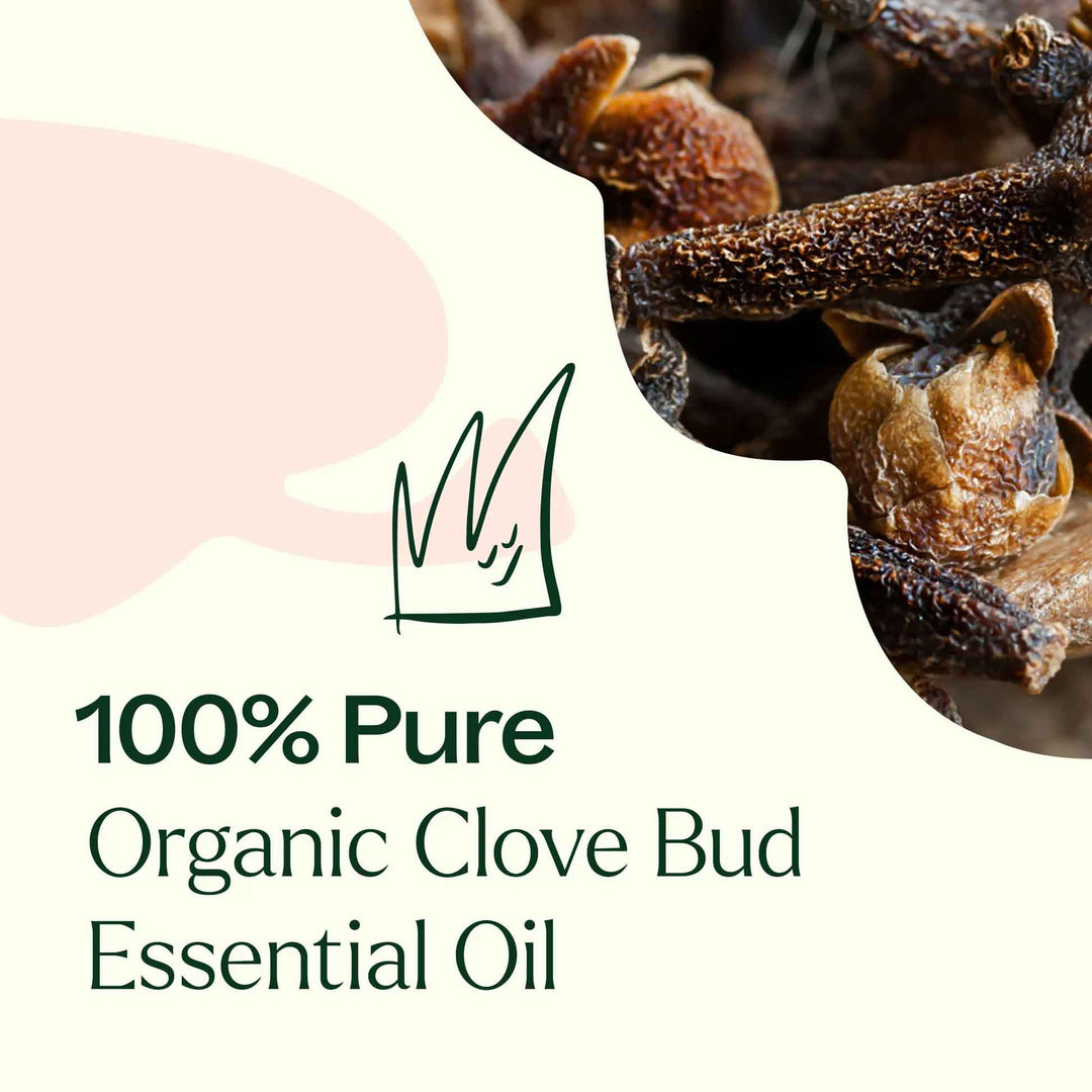 Organic Clove Bud Essential Oil - USDA Certified