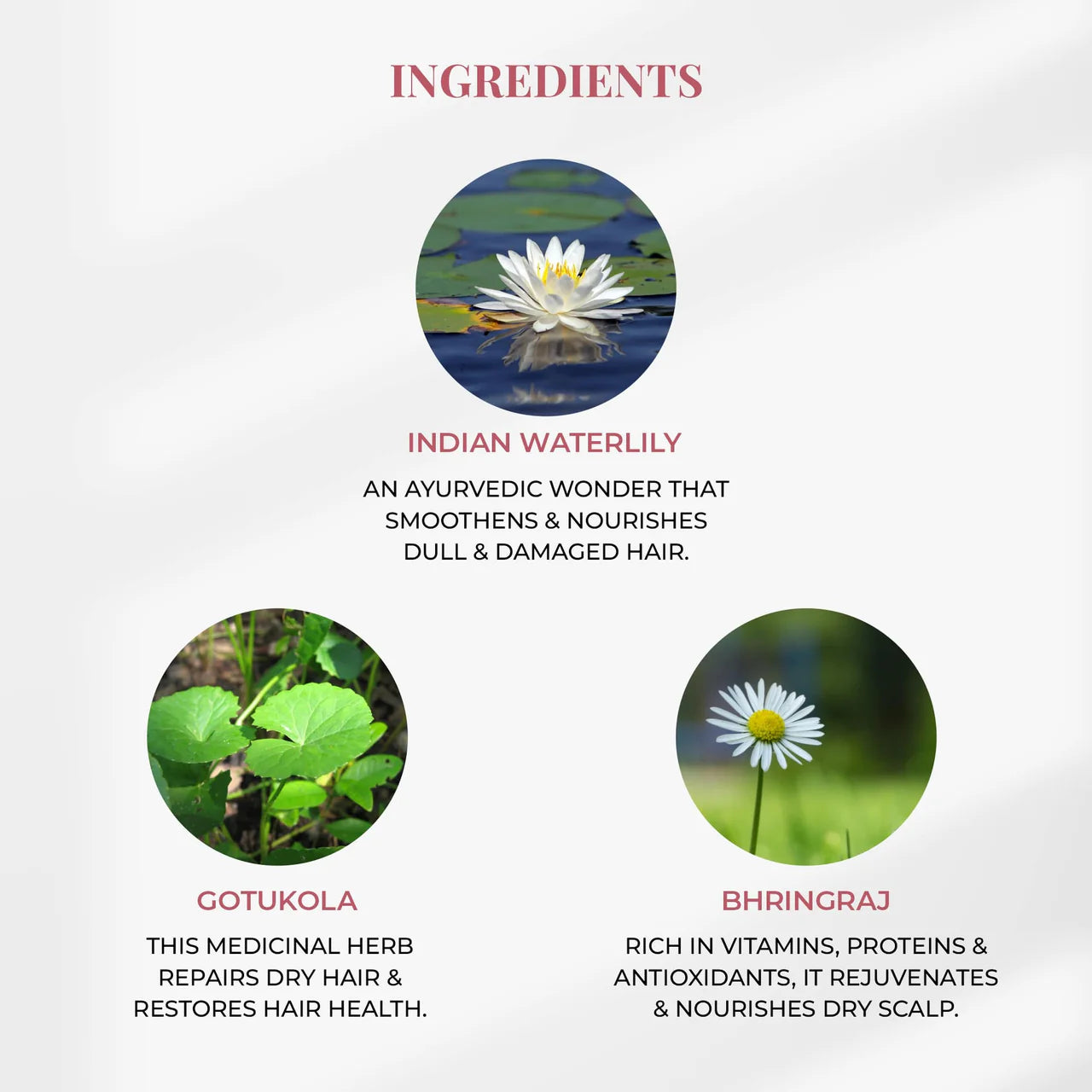 Silicone-free Conditioner, Indian White Waterlily, Ayurveda Store NZ, Just Herbs