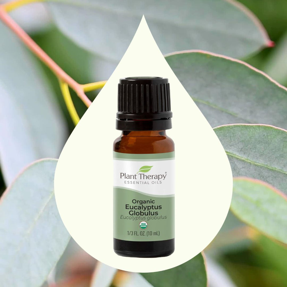 Organic Eucalyptus Globulus Essential Oil, Plant Therapy, Ayurveda Store NZ