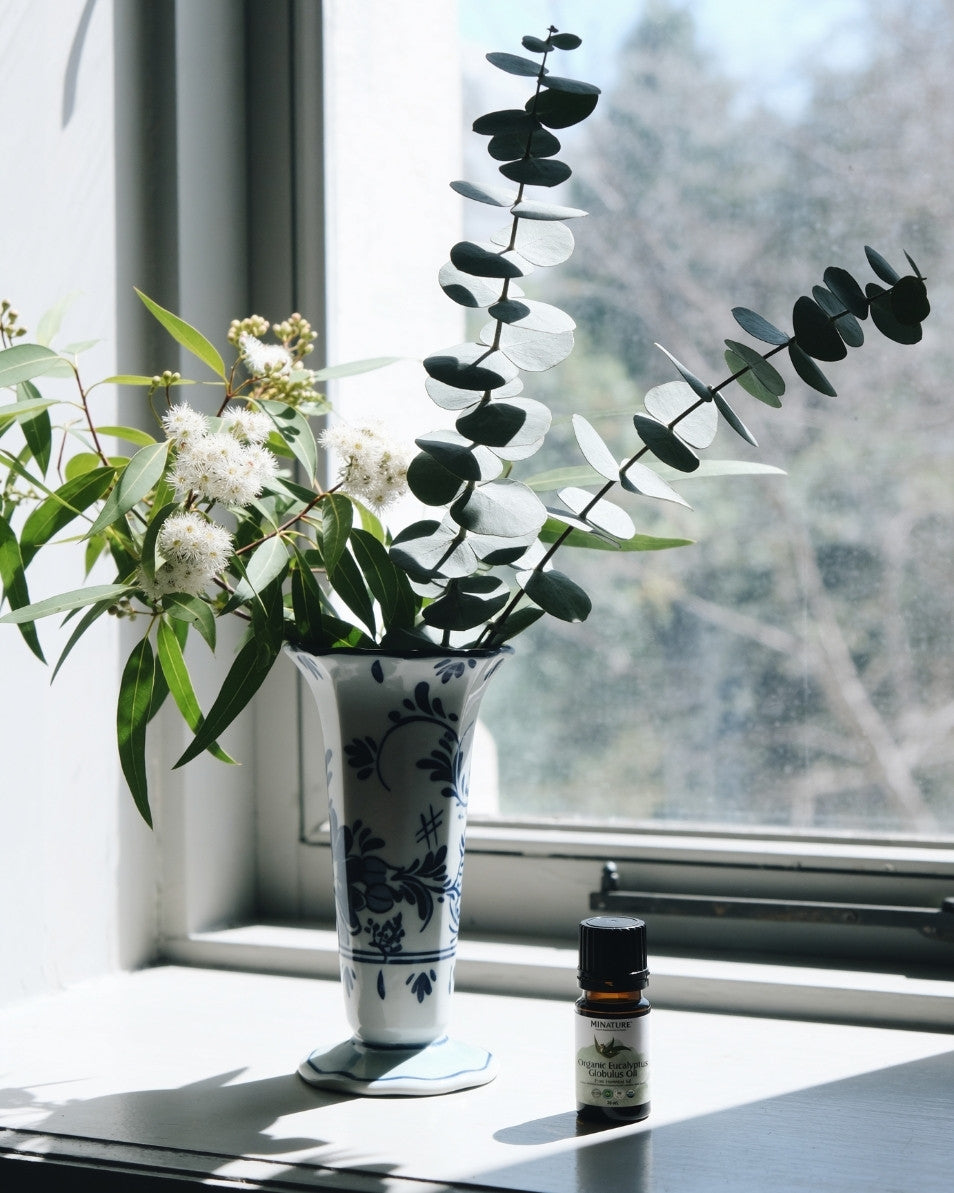 Organic Eucalyptus Globulus Essential Oil 30ml