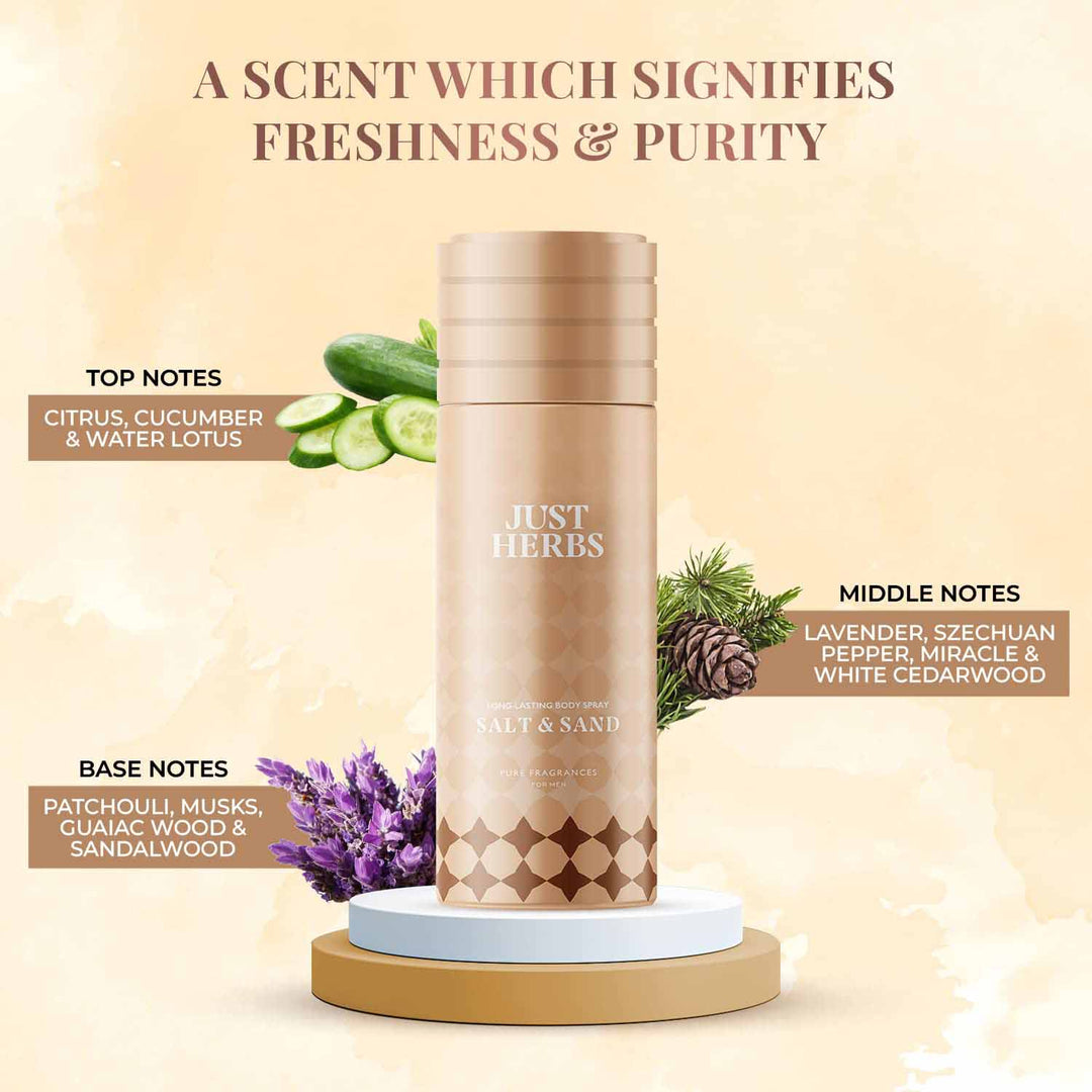 Long Lasting Salt and Sand Deodorant Body Spray For Men