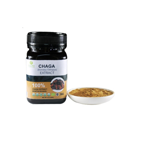 Chaga Extract Powder, Wuling, Ayurveda Store NZ