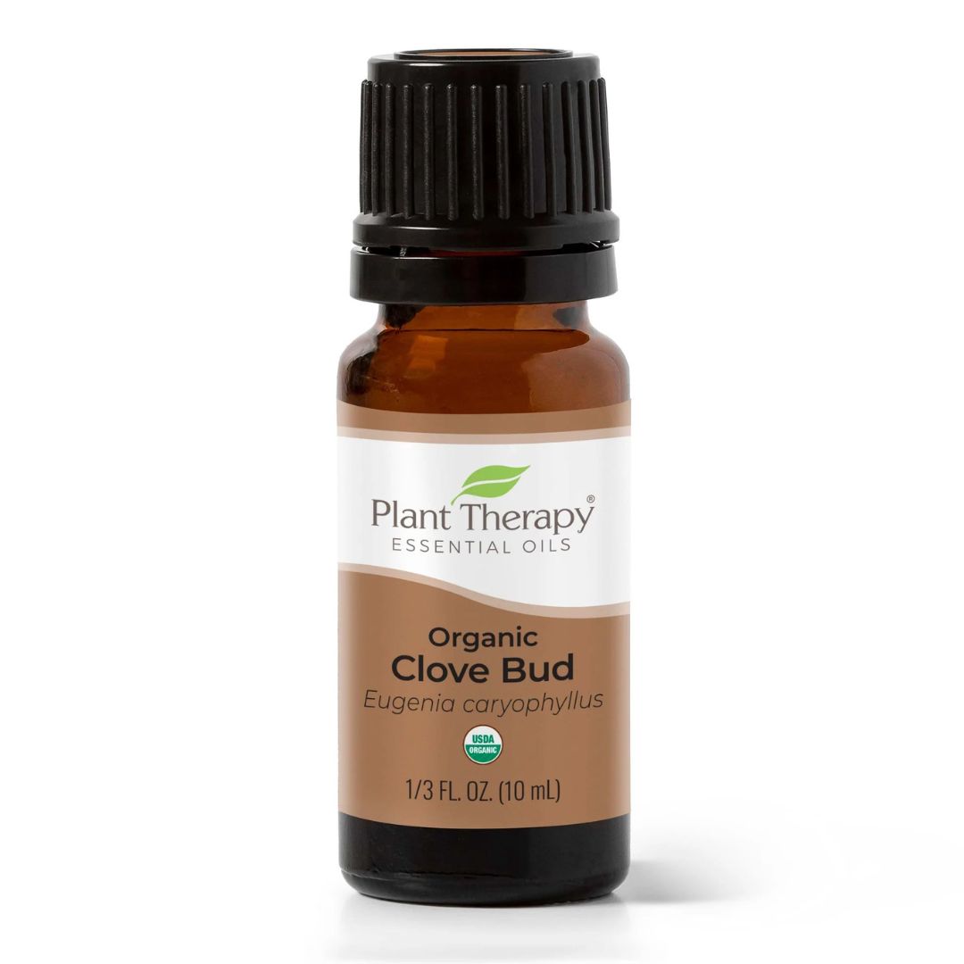 Organic Clove Bud Essential Oil, Plant Therapy, Ayurveda Store NZ