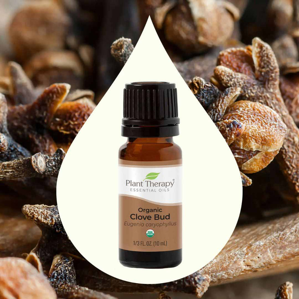 Organic Clove Bud Essential Oil - USDA Certified