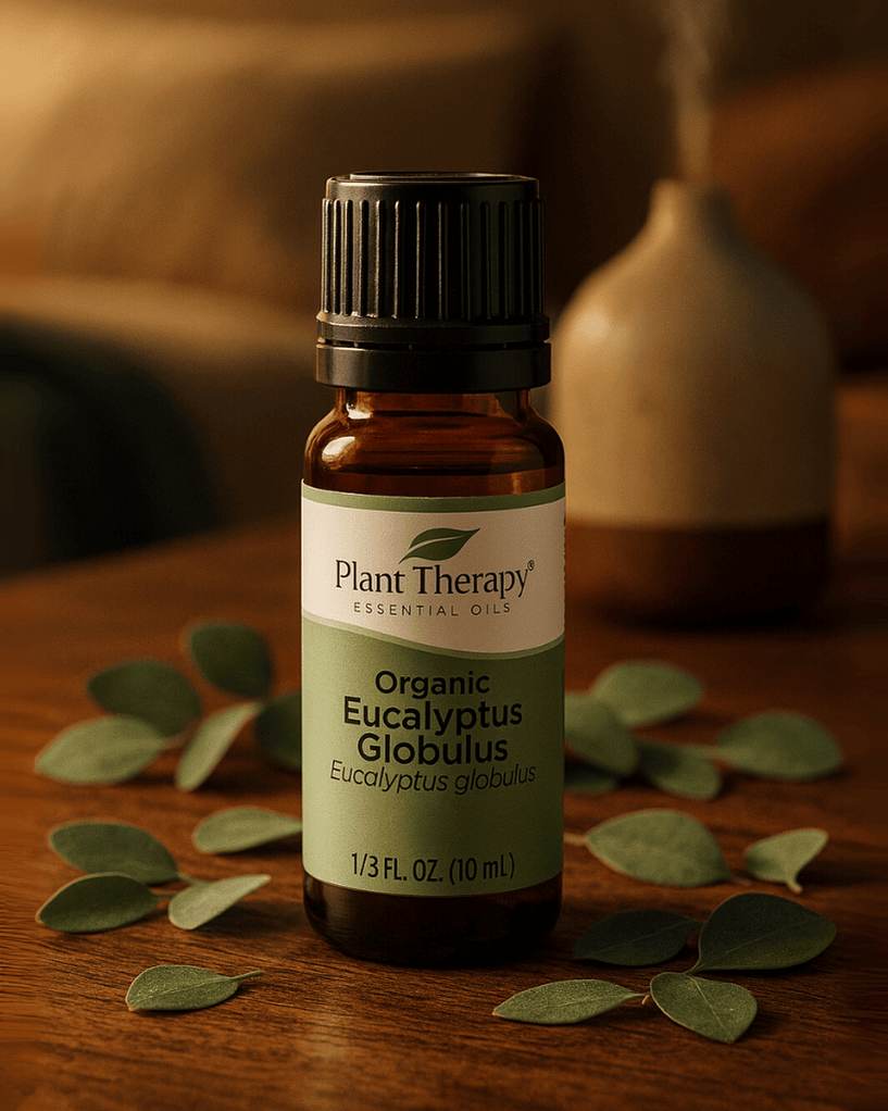 Organic Eucalyptus Globulus Essential Oil, Plant Therapy, Ayurveda Store NZ