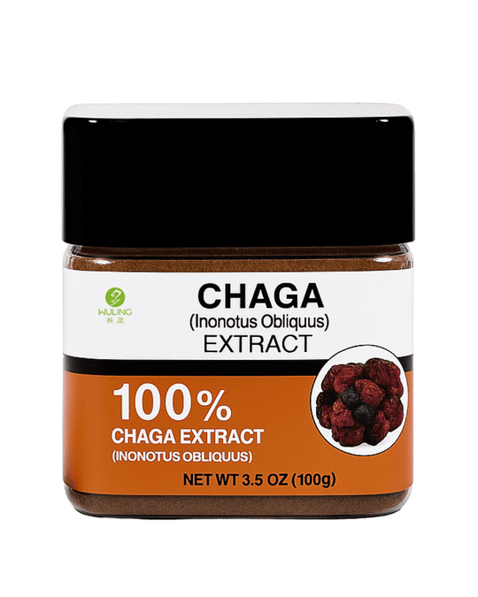 Chaga Extract, Ayurveda Store NZ