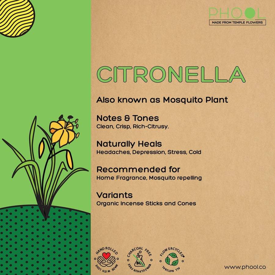 Citronella - Natural Incense Cones by Phool