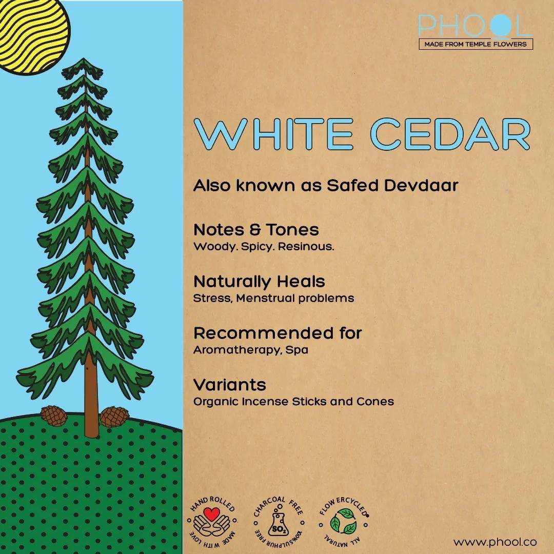 White Cedar - Natural Incense Cones by Phool